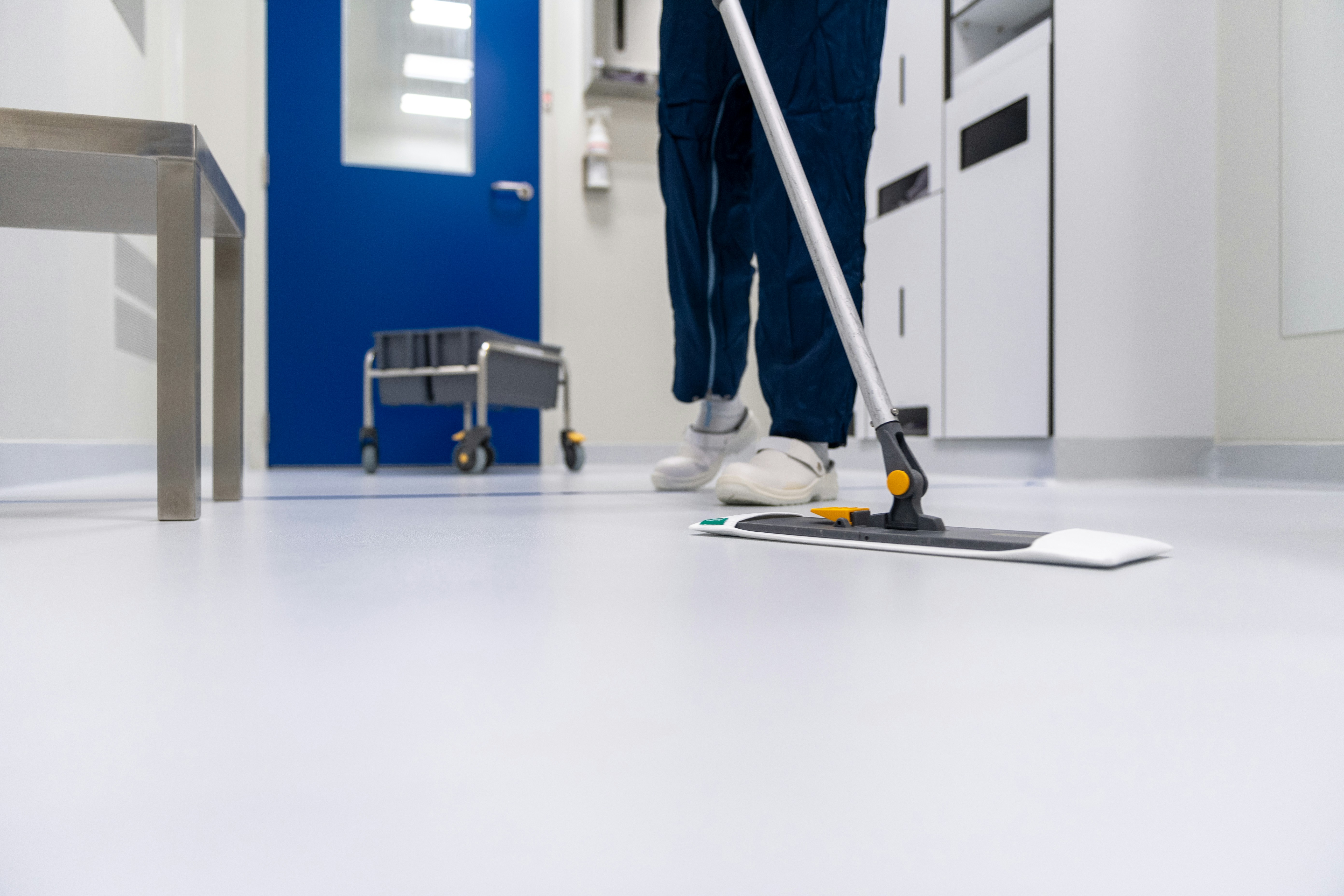 Professional regular domestic cleaning service